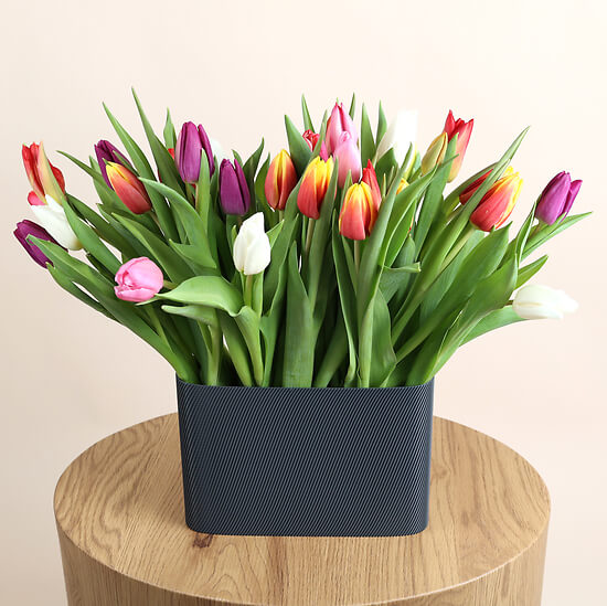 Regenbogen – Blumenlieferung Schweiz