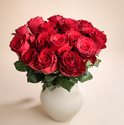 Strauss Samtrote Rosen (20 Rosen)