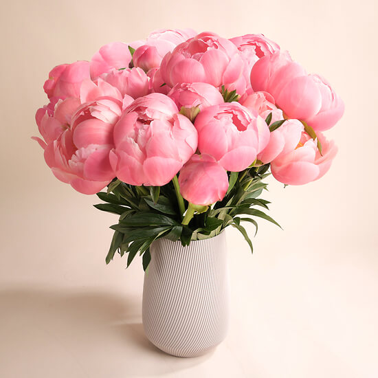 Süße Pfingstrosen – Blumen Zürich