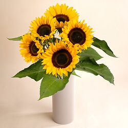 Bouquet de 5 tournesols