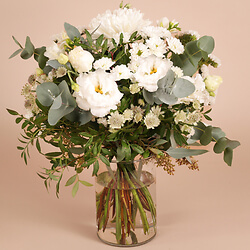 Strauss Ewiger Strauß