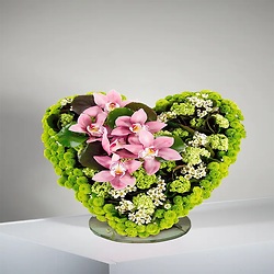 Bouquet Paix et lumière