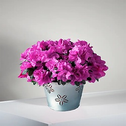 Bouquet Juste pour toi