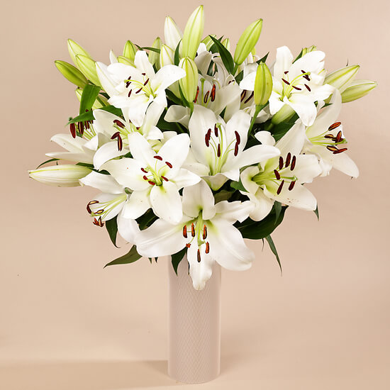 Große Weiße Lilie – Blumenlieferung Schweiz