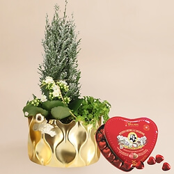 Strauss Weihnachtszauber