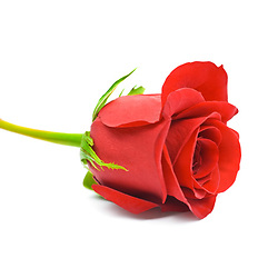 Bouquet Risveglio di primavera