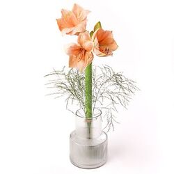 Bouquet Profumo delicato