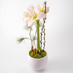 Bouquet Congratulazioni