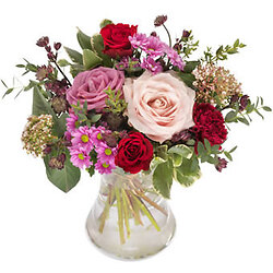 Strauss Traum aus Tau