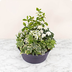 Bouquet Sérénité florale