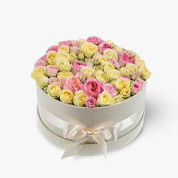 Strauss Licht der Freude