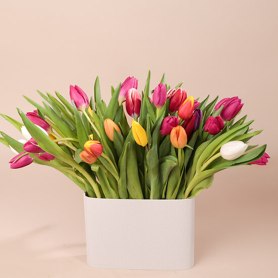 Regenbogen – Blumenlieferung Schweiz