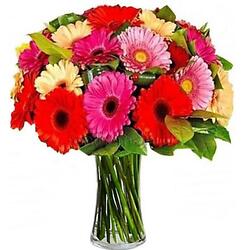 Bouquet Merveille du jour