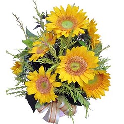 Bouquet Solar Flare