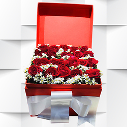 Strauss Meine Liebste