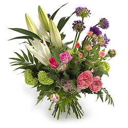 Strauss Ewige Sanftheit