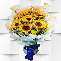 Strauss Versprechen der Sanftheit