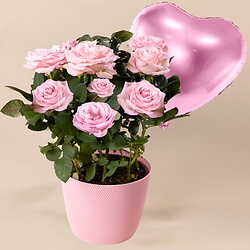 bouquet